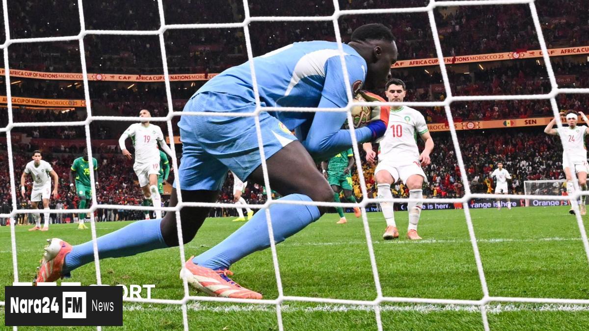 The High-Stakes Gamble of Panenka Penalties: Brilliance or Blunder?