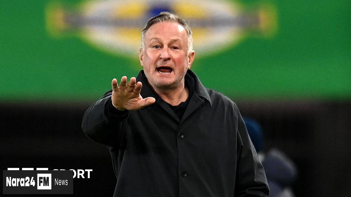  Northern Ireland Secures Play-Off Spot with Hard-Fought Victory Over Luxembourg